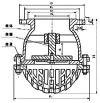 zhihuif2-11.jpg